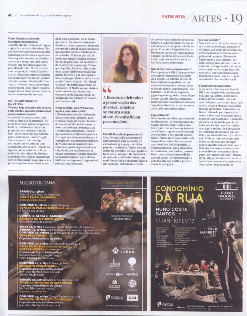 Artigo "A escrita das árvores" do JL (segunda parte)