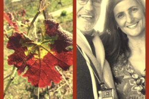 Continua em força o grande projecto da By the Book que nascerá em 2015.
 Aqui pa…