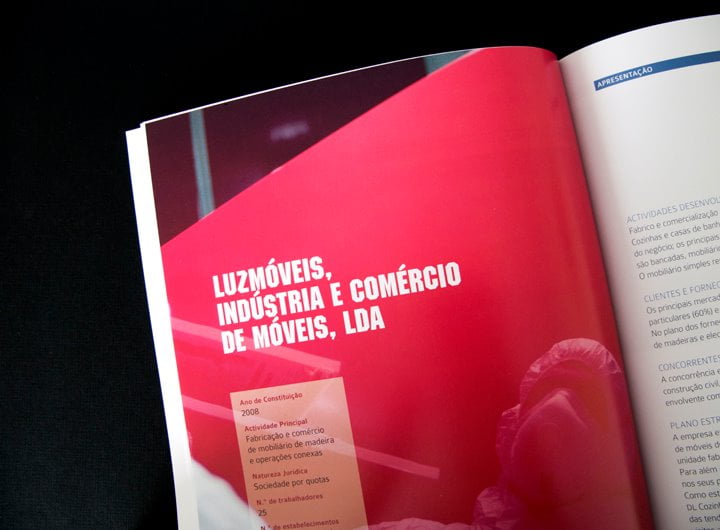 Esta brochura apresenta 16 casos de sucesso do Projecto Dinamizar.