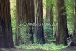 Growing is Forever