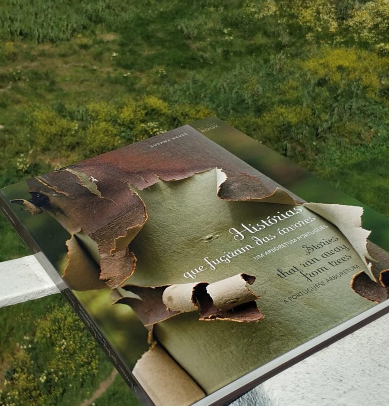 Hoje comemora-se o Dia da Árvore!
 Plantar uma árvore. Escrever um livro.
 Duas …