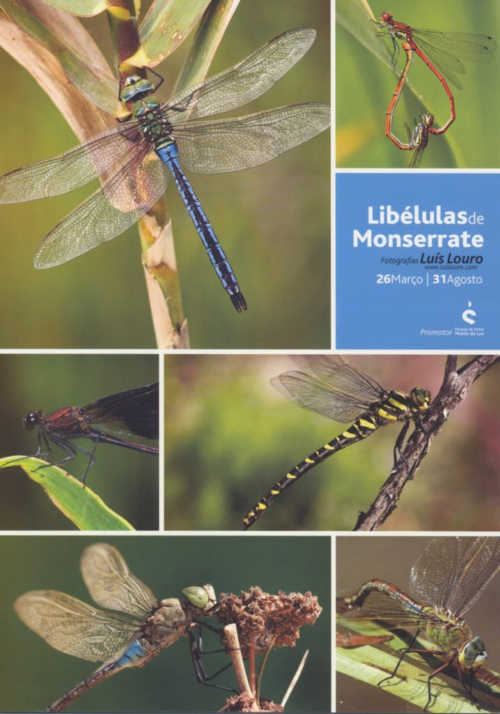 Para os amantes do livro "Escrever sobre Sintra", deixamos algumas sugestões:
(...