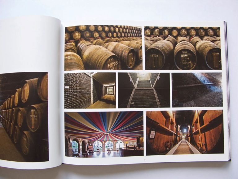 Um livro bilingue onde as fotografias do Mestre Homem Cardoso ilustram o concelh…