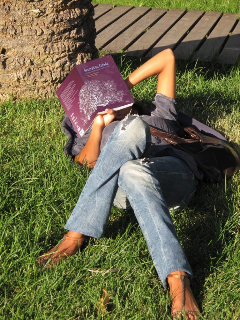Uma sugestão para o fim de semana que se aproxima (e com sol!)
 "Árvores na Cida...