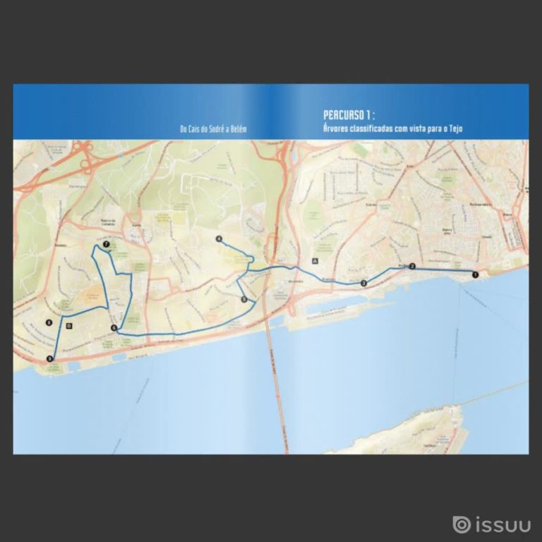 Ver Árvores na Cidade: Roteiro das árvores classificadas de Lisboa