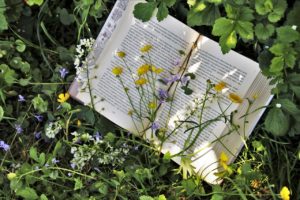 Maria Amélia Martins-Loução sugere cinco livros de natureza para o Verão