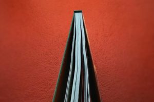 Como a época natalícia se estende ao Dia de Reis, também a By the Book mantém a …
