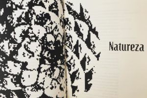 Neste dia chuvoso, recordamos “o Bosão do João”, com um excerto do poema “Lição …