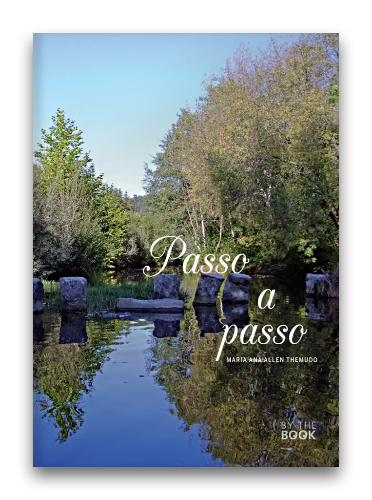 capa passo a passo