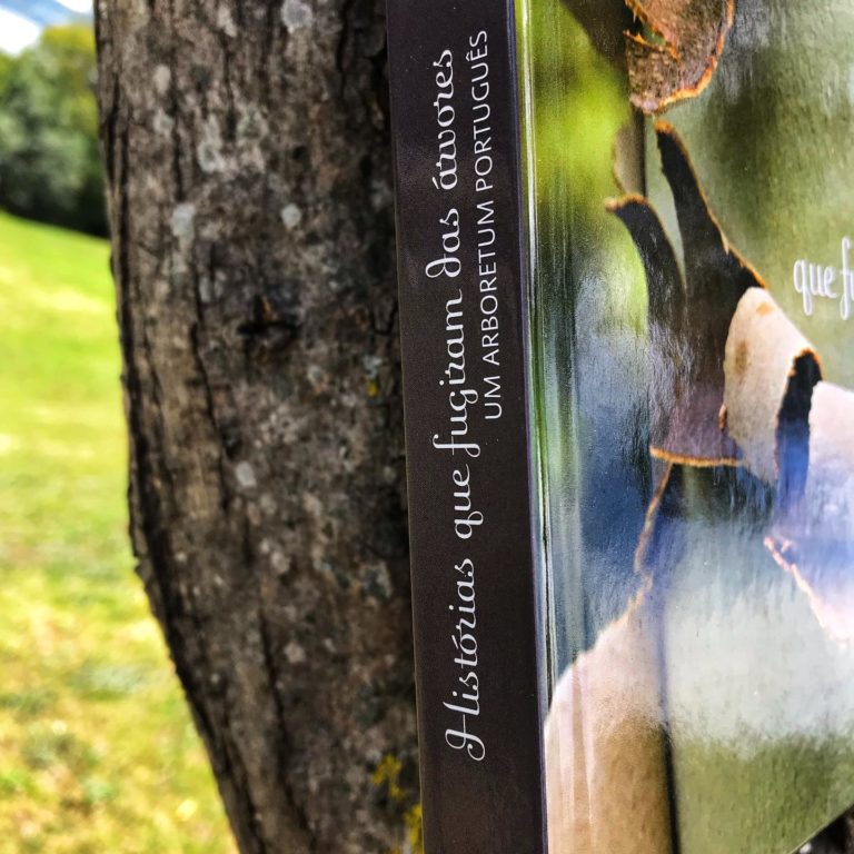 Hoje é o Dia Mundial da Terra, lar de 7,7 biliões de seres humanos e de milhões …