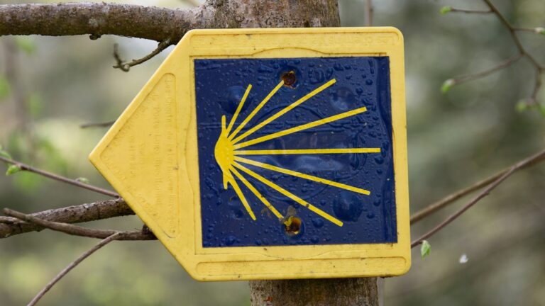 Caminho de Santiago reabre: Muito muda, mas o essencial permanece