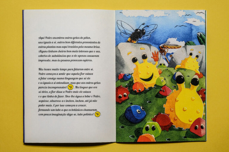 miolo pedro grão polen