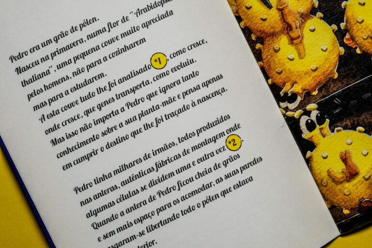 pormenor aventuras pedro