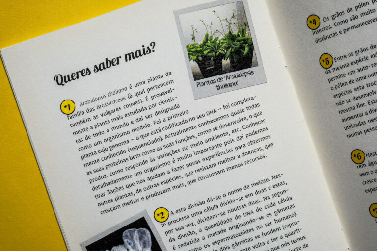 pormenor pedro grao polen