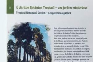 Hoje o dia é dedicado aos mais pequenos  porque não preparar uma surpresa neste …