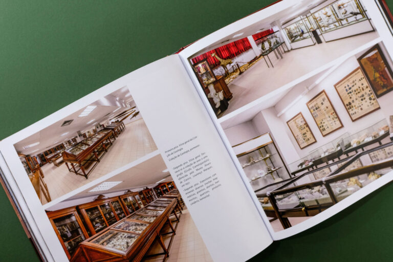 colegio militar patrimonio colecoes